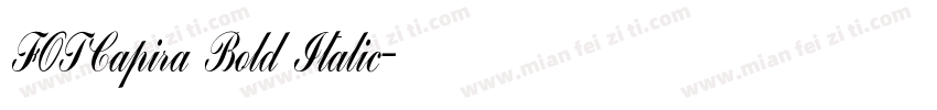 FOTCapira Bold Italic字体转换